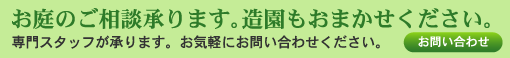 ����̂����k����܂��B���������܂������������B