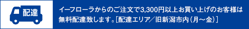 3,300�~�ȏエ�����グ�̂��q���܂͖����z�B�������܂��B
�m�z�B�G���A�^���V���s��(���`��)�n